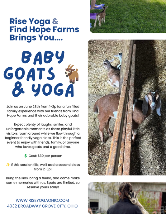 Baby Goats & Yoga